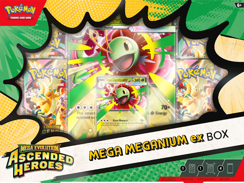 PTCG Ascended Heroes Mega Meganium ex Box 