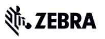zebra.jpg