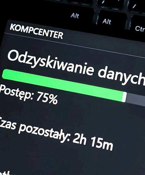 Usługa odzyskania danych