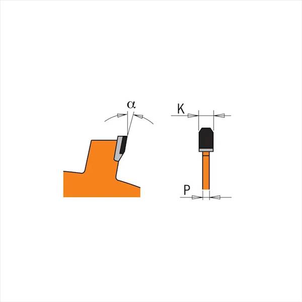 PIŁA DIA D=160 B=2,2 B=1,6 d=20 z=4 CMT
