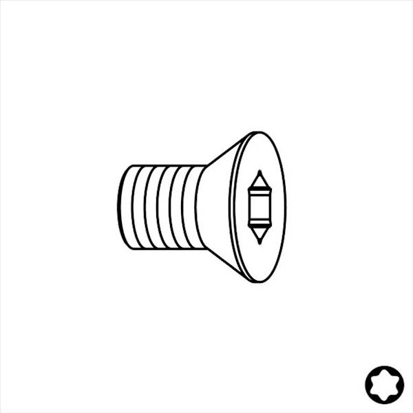 ŚrubaTBPTI M2,5x3,2x6 D=3,5 F099-12501
