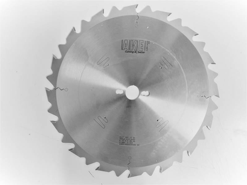 PIŁA D=450 B=4,2 b=2,5 d=30 z=20 GS AKE