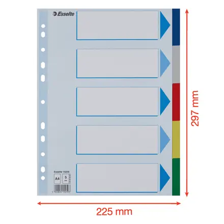 Przekładki A4 5 PP kol