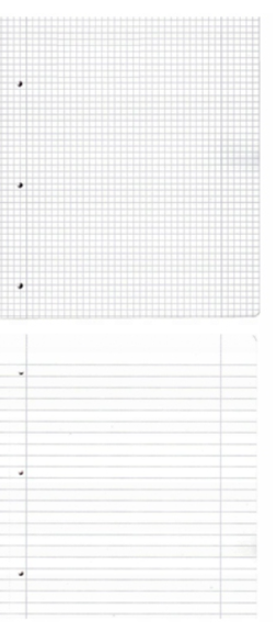 Notatnik A4 2w1 LadyLike Motyle – Herlitz (80 kartek) 2*40 kratka+linia