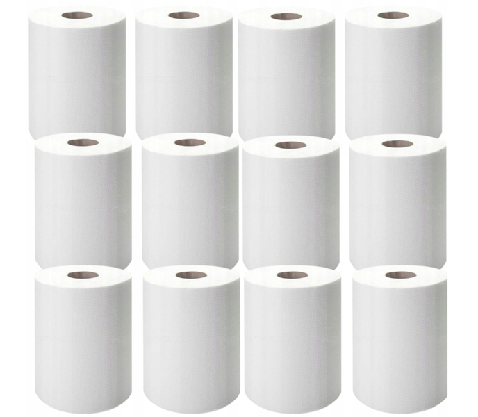 RĘCZNIK papierowy 250 listków-dł.50m biały celuloza 100% Euro 12szt