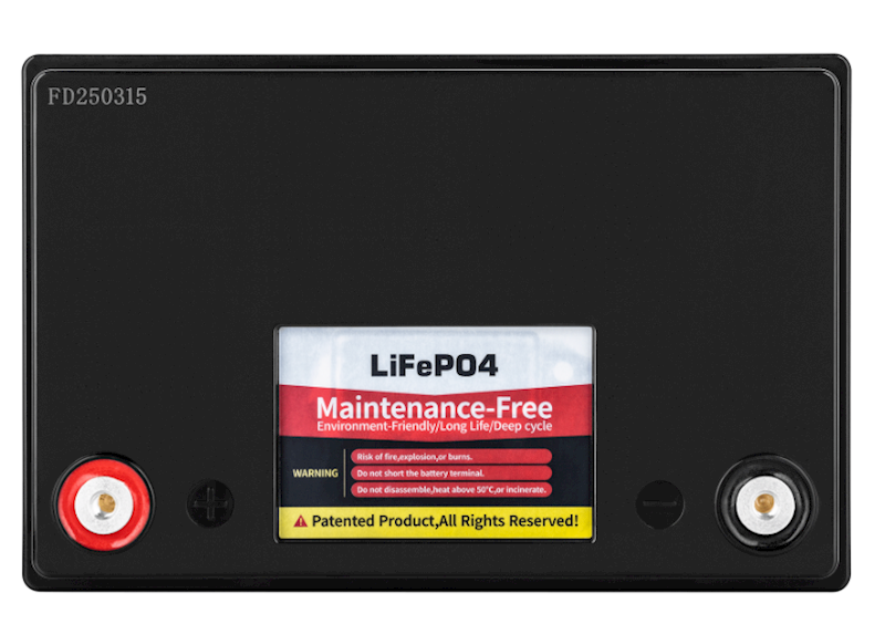 Akumulator LiFePO4 100Ah z BMS