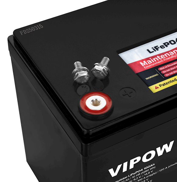 Akumulator LiFePO4 100Ah z BMS