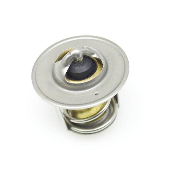 Termostat Aixam 400 500 38 mm