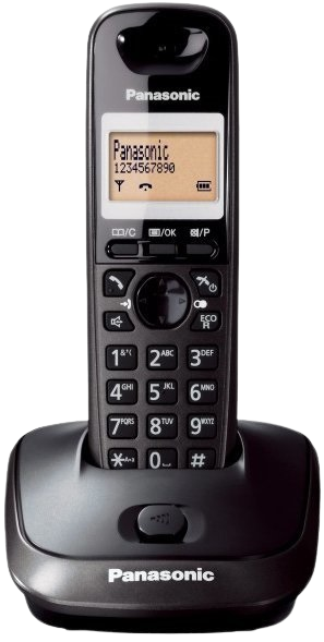 PANASONIC TELEFON KX-TG2511 tytanowy