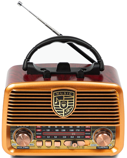BLOW RADIO PRZENOŚNE AM/FM BT 77-540