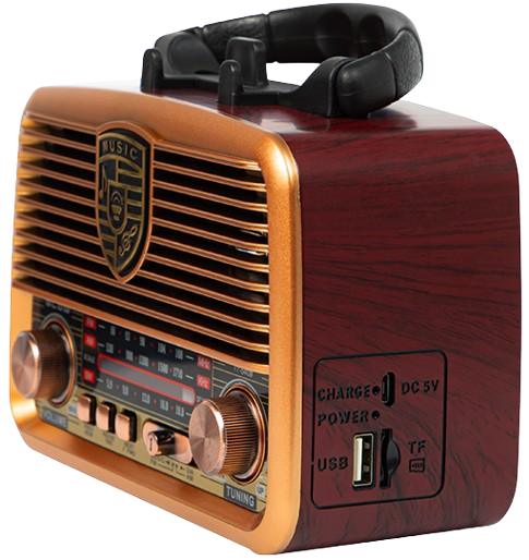 BLOW RADIO PRZENOŚNE AM/FM BT 77-540