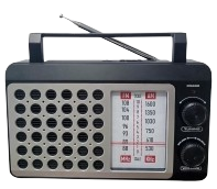 DARTEL RADIO RD-160 czarne