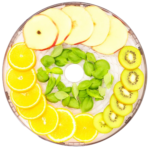 ELDOM SUSZARKA DO GRZYBÓW SG-510 400W 5 sit, regul