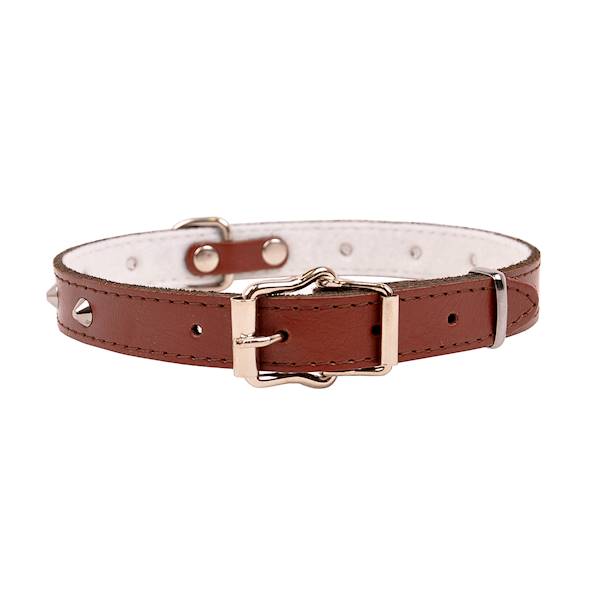 Obroża skóra ćwiek 20mm/47cm BRĄZOWA