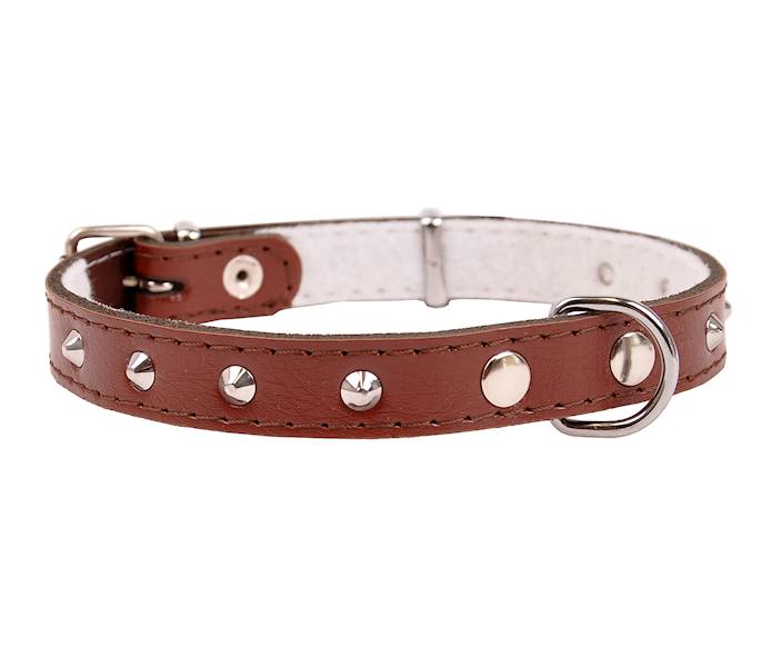 Obroża skóra ćwiek 20mm/47cm BRĄZOWA