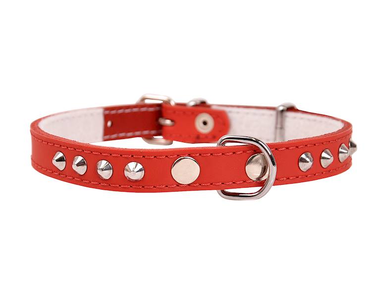 Obroża skóra ćwiek 16mm/40cm CZERWONA