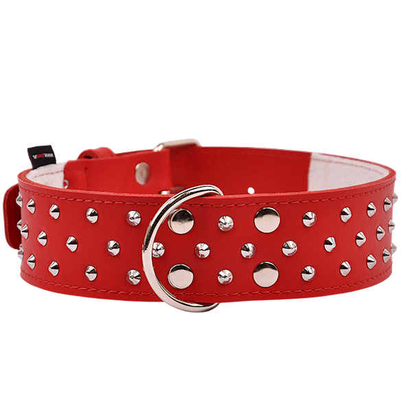 Obroża skórzana 50mm/50cm ĆWIEK CZERWONA