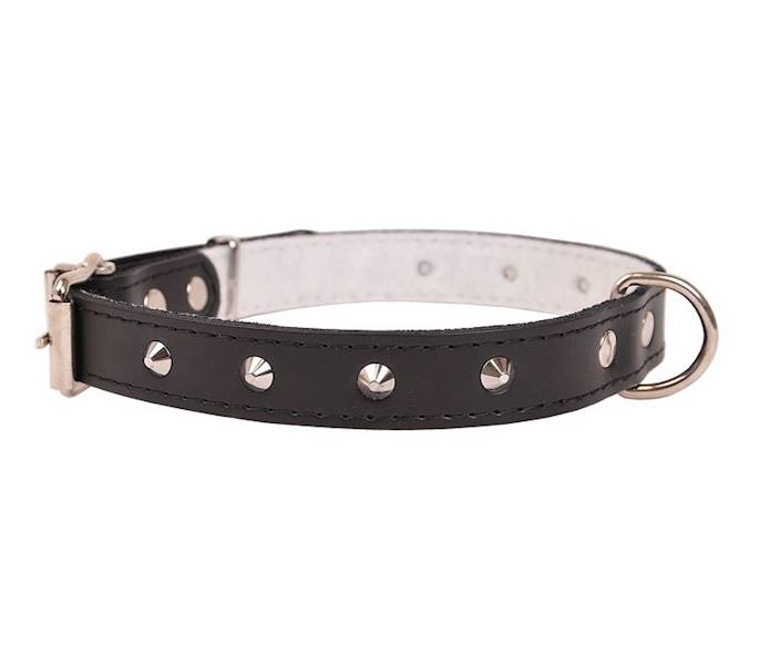 Obroża skórzana 30mm/63cm ĆWIEKOWANA CZARNA