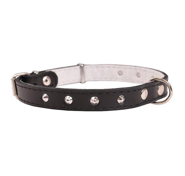 Obroża skóra ćwiek 20mm/47cm CZARNA