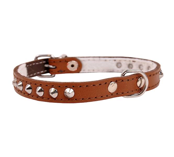 Obroża skóra ćwiek 14mm/36cm BRĄZ