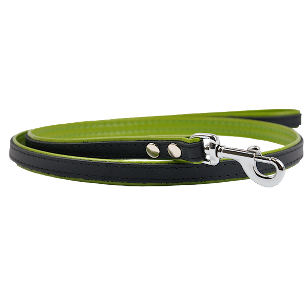 Smycz prosta PREMIUM 12mm/120cm ZIELONA