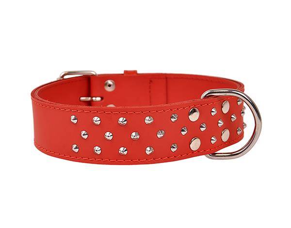 Obroża skórzana 50mm/60cm WZMACNIANA ĆWIEKOWANA CZERWONA