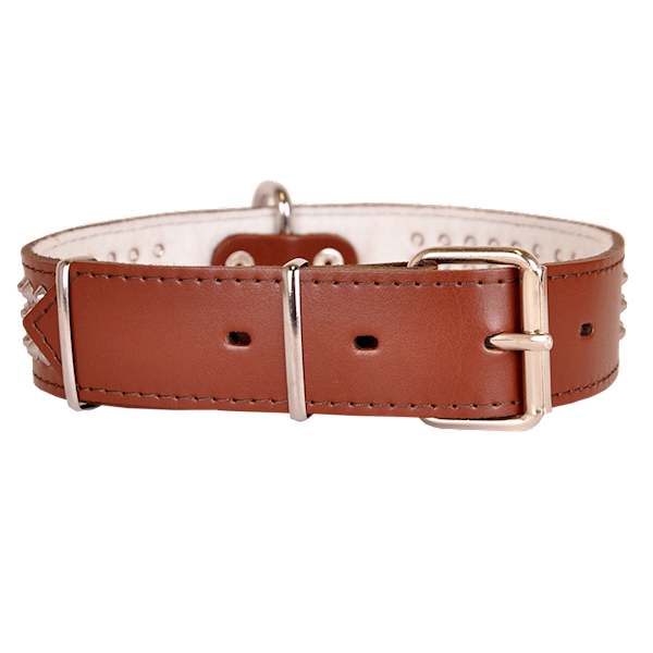 Obroża skórzana 40mm/67cm ĆWIEK TRÓJRZĘDOWA BRĄZOWA