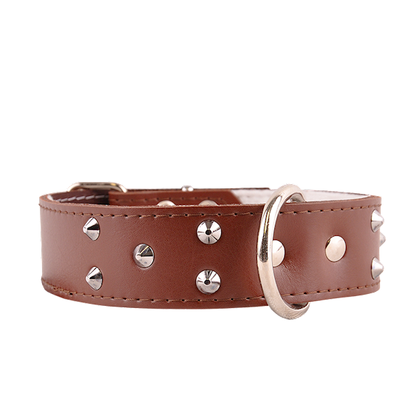 Obroża skórzana 40mm/67cm ĆWIEK BRĄZOWA