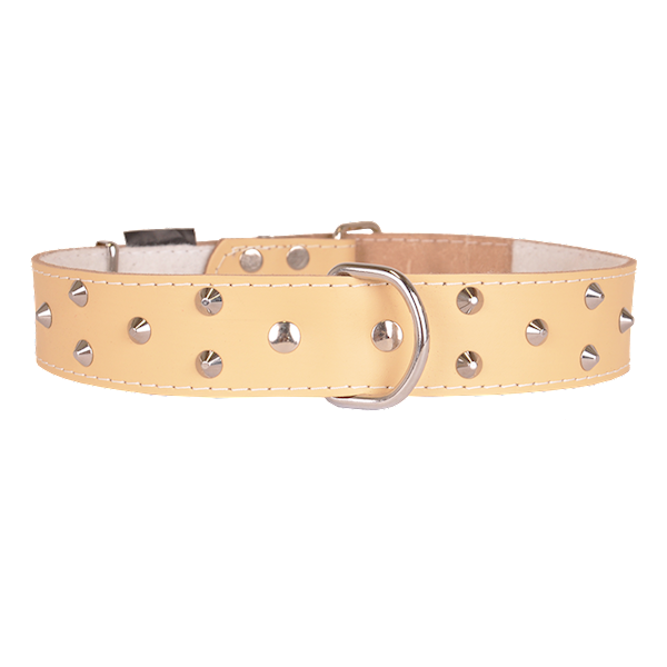 Obroża skórzana 40mm/67cm ĆWIEK BEŻ
