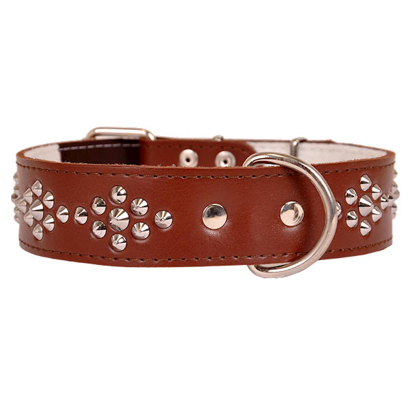 Obroża skórzana 40mm/57cm ĆWIEK TRAPEZ BRĄZOWA