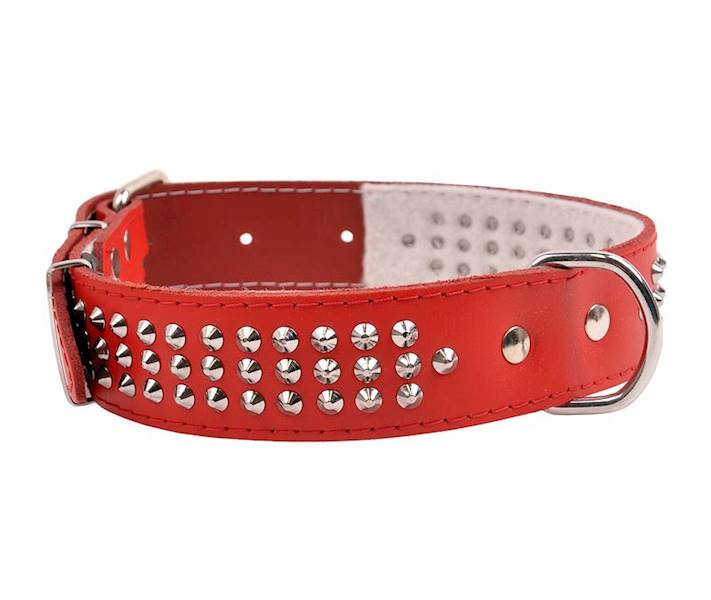 Obroża skórzana 40mm/46cm ĆWIEK TRÓJRZĘDOWA CZERWONA