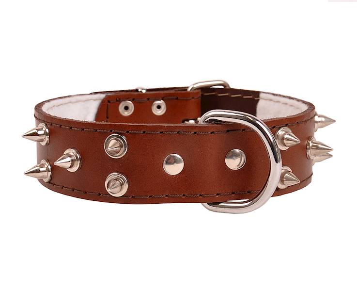 Obroża skórzana 40mm/57cm KOLEC DUŻY BRĄZOWA