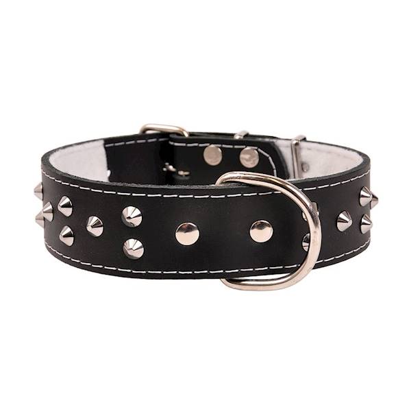 Obroża skórzana 40mm/57cm ĆWIEKOWANA CZARNA