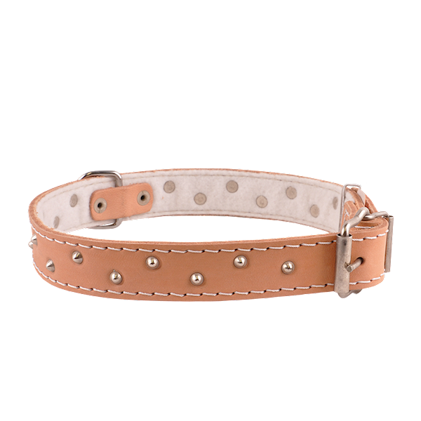 Obroża skórzana 30mm/63cm ĆWIEKOWANA NATURA