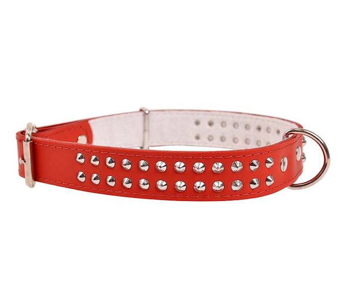 Obroża skórzana 30mm/63cm ĆWIEK DWURZĘDOWO CZERWONA
