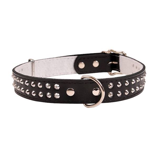 Obroża skórzana 30mm/63cm ĆWIEK DWURZĘDOWO CZARNA