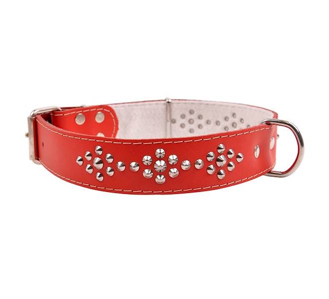 Obroża skórzana 40mm/46cm ĆWIEK TRAPEZ CZERWONA