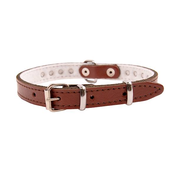 Obroża skórzana 10mm/27cm ĆWIEKOWANA BRĄZOWA