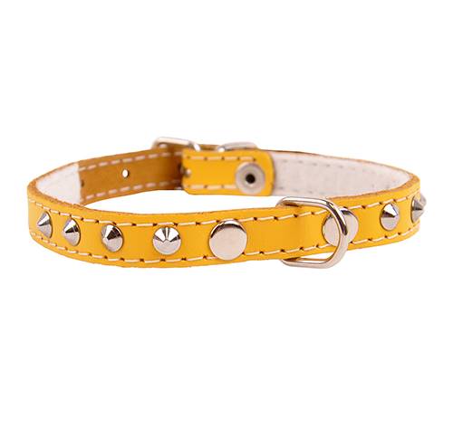 Obroża skórzana 14mm/36cm ĆWIEKOWANA ŻÓŁTA