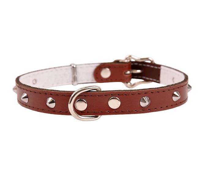 Obroża skóra ćwiek 20mm/47cm BRĄZOWA