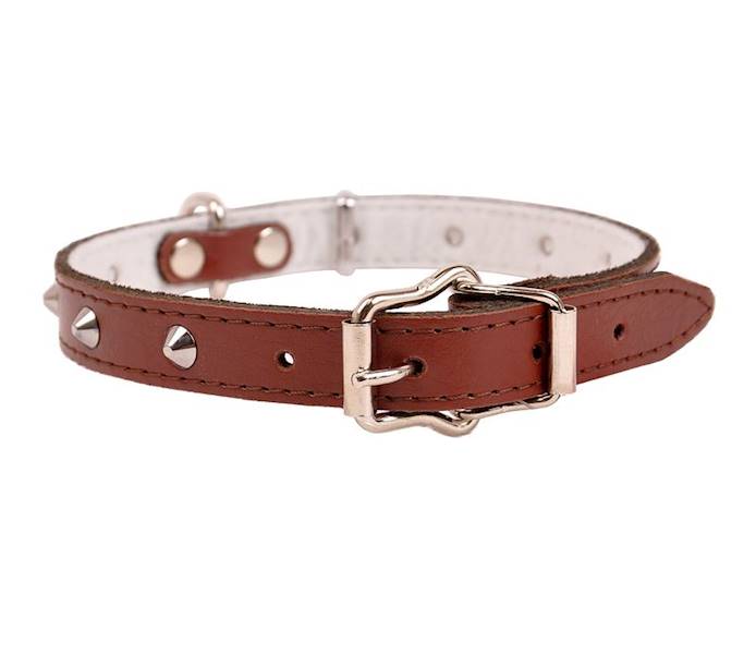 Obroża skóra ćwiek 20mm/47cm BRĄZOWA