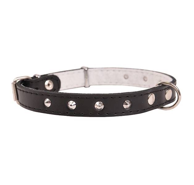 Obroża skóra ćwiek 18mm/43cm CZARNA