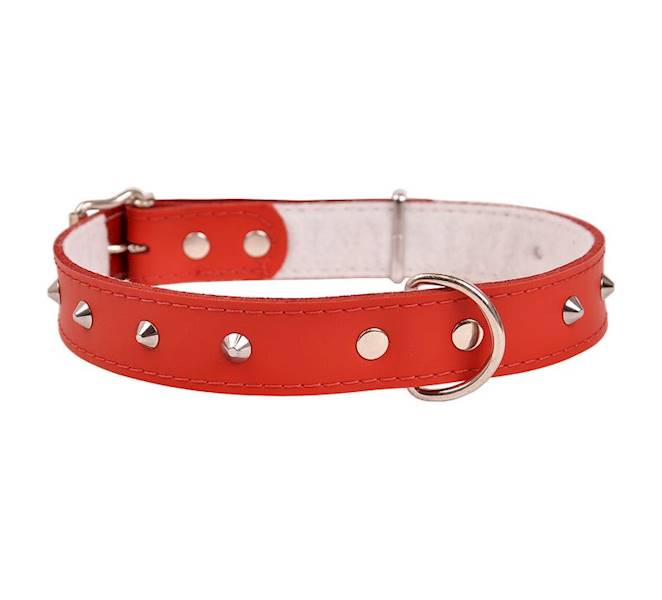 Obroża skórzana 25mm/59cm ĆWIEKOWANA CZERWONA