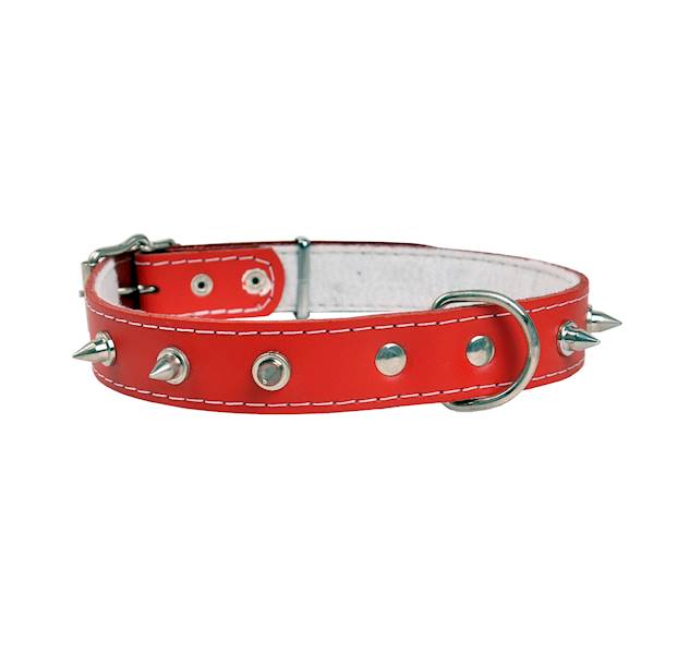Obroża skórzana 30mm/63cm KOLEC DUŻY CZERWONA