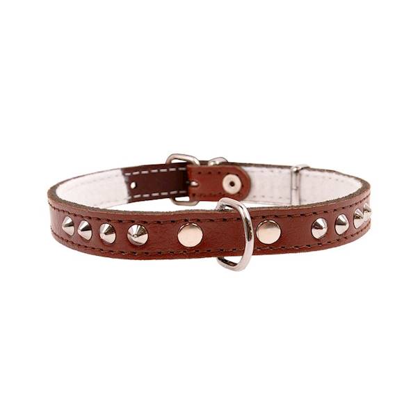 Obroża skórzana 16mm/40cm ĆWIEKOWANA BRĄZOWA