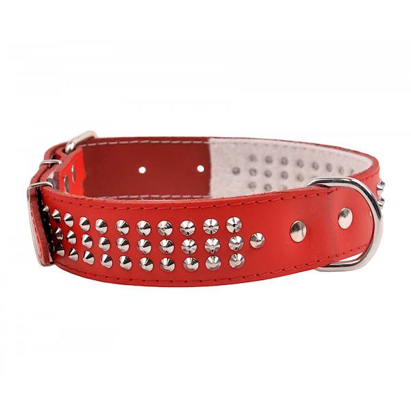 Obroża skórzana 40mm/57cm ĆWIEK TRÓJRZĘDOWO CZERWONA