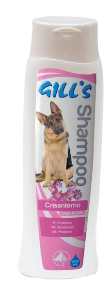 GILLS SZAMPON 200ml ZAPACH CHRYZANTEM
