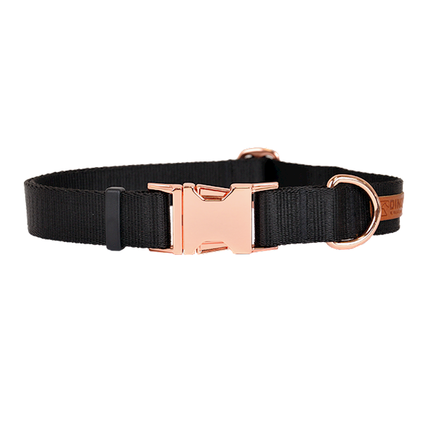 OBROŻA Z TAŚMY Z KLAMRĄ GOLD 20mm/22-30cm CZARNA