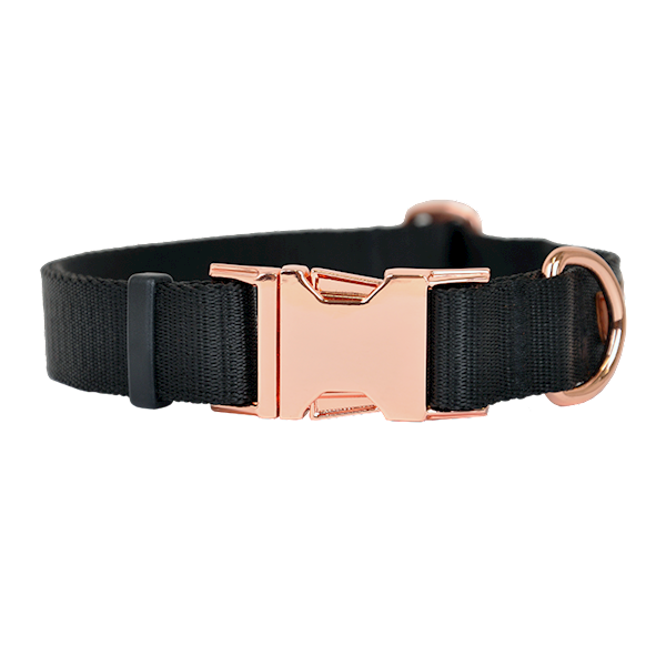 OBROŻA Z TAŚMY Z KLAMRĄ GOLD 25mm/32-50cm CZARNA