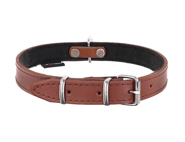 Obroża skórzana 22mm/45cm BRĄZ
